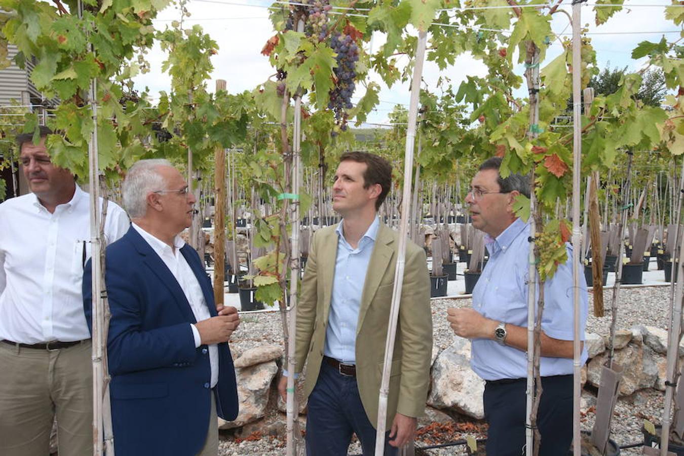 El presidente del Partido Popular Pablo Casado ha visitado hoy La Rioja y se ha interesado por los temas candentes de la región.