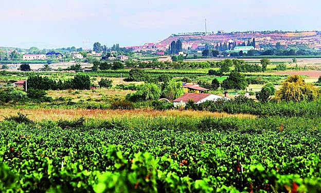 Diversas construcciones situadas en fincas de los alrededores de Villamediana y a las que se accede por caminos rurales. :: juan marín