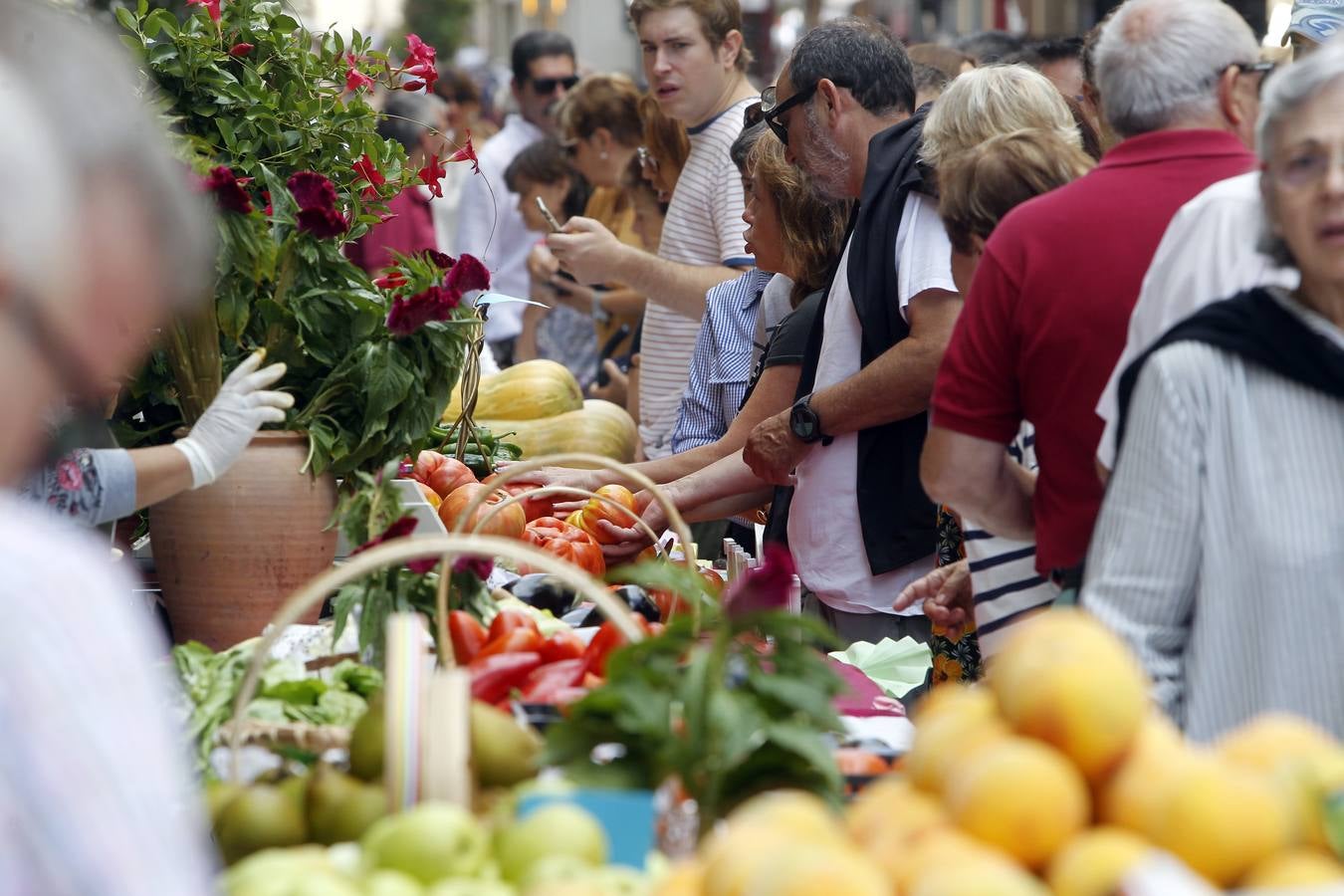 Javier Sampedro y Francisca Allo, ambos de Lardero, han ganado el 50 Concurso Agrícola de La Rioja en las categorías de frutas y hortalizas, respectivamente. Numeroso público ha disfrutado del sol radiante que ha lucido este domingo en Logroño y ha visitado los puestos instalados por 14 agricultores en la céntrica calle Portales, donde también se han podido adquirir los productos de la huerta riojana. Esta actividad, organizada por la Fundación Caja Rioja y Bankia, ha cumplido medio siglo de historia y supone una de las citas más tradicionales como prolegómeno a las fiestas de la vendimia.