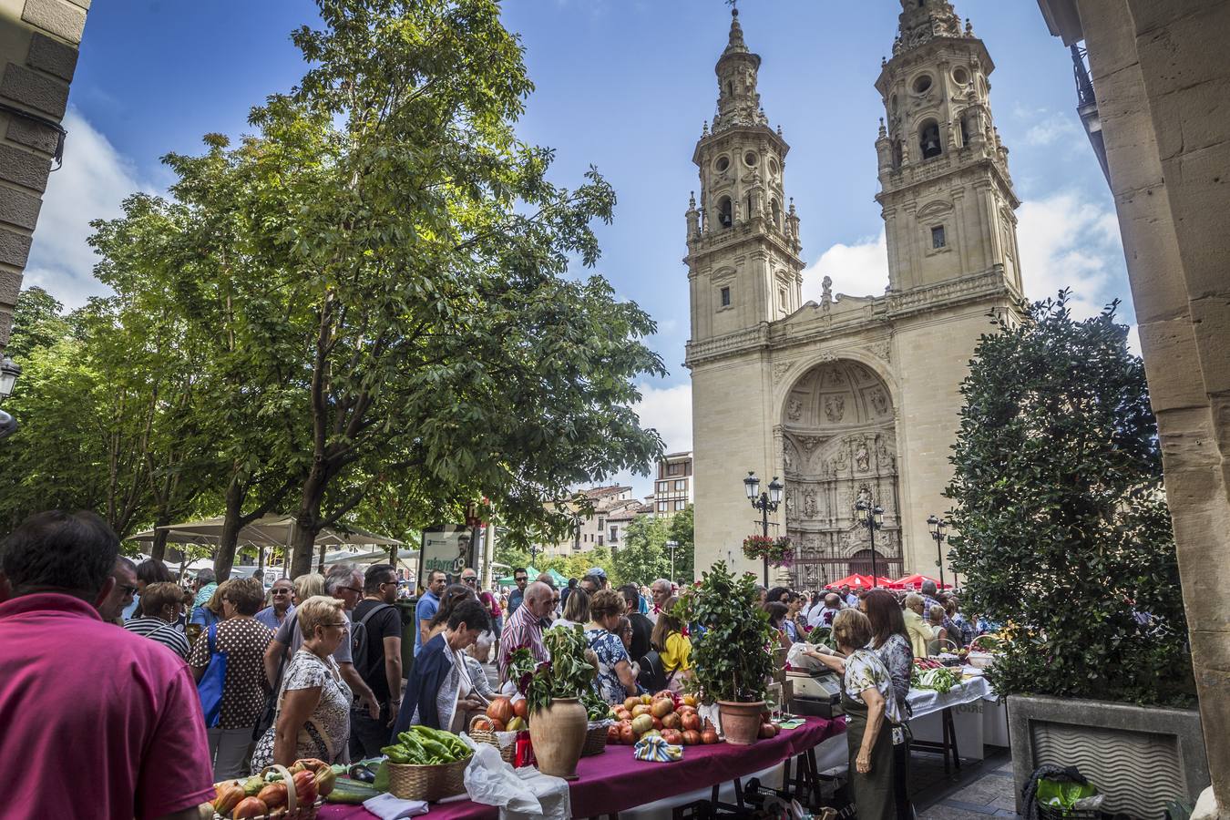 Javier Sampedro y Francisca Allo, ambos de Lardero, han ganado el 50 Concurso Agrícola de La Rioja en las categorías de frutas y hortalizas, respectivamente. Numeroso público ha disfrutado del sol radiante que ha lucido este domingo en Logroño y ha visitado los puestos instalados por 14 agricultores en la céntrica calle Portales, donde también se han podido adquirir los productos de la huerta riojana. Esta actividad, organizada por la Fundación Caja Rioja y Bankia, ha cumplido medio siglo de historia y supone una de las citas más tradicionales como prolegómeno a las fiestas de la vendimia.