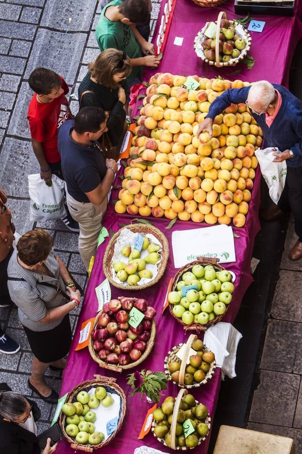 Javier Sampedro y Francisca Allo, ambos de Lardero, han ganado el 50 Concurso Agrícola de La Rioja en las categorías de frutas y hortalizas, respectivamente. Numeroso público ha disfrutado del sol radiante que ha lucido este domingo en Logroño y ha visitado los puestos instalados por 14 agricultores en la céntrica calle Portales, donde también se han podido adquirir los productos de la huerta riojana. Esta actividad, organizada por la Fundación Caja Rioja y Bankia, ha cumplido medio siglo de historia y supone una de las citas más tradicionales como prolegómeno a las fiestas de la vendimia.