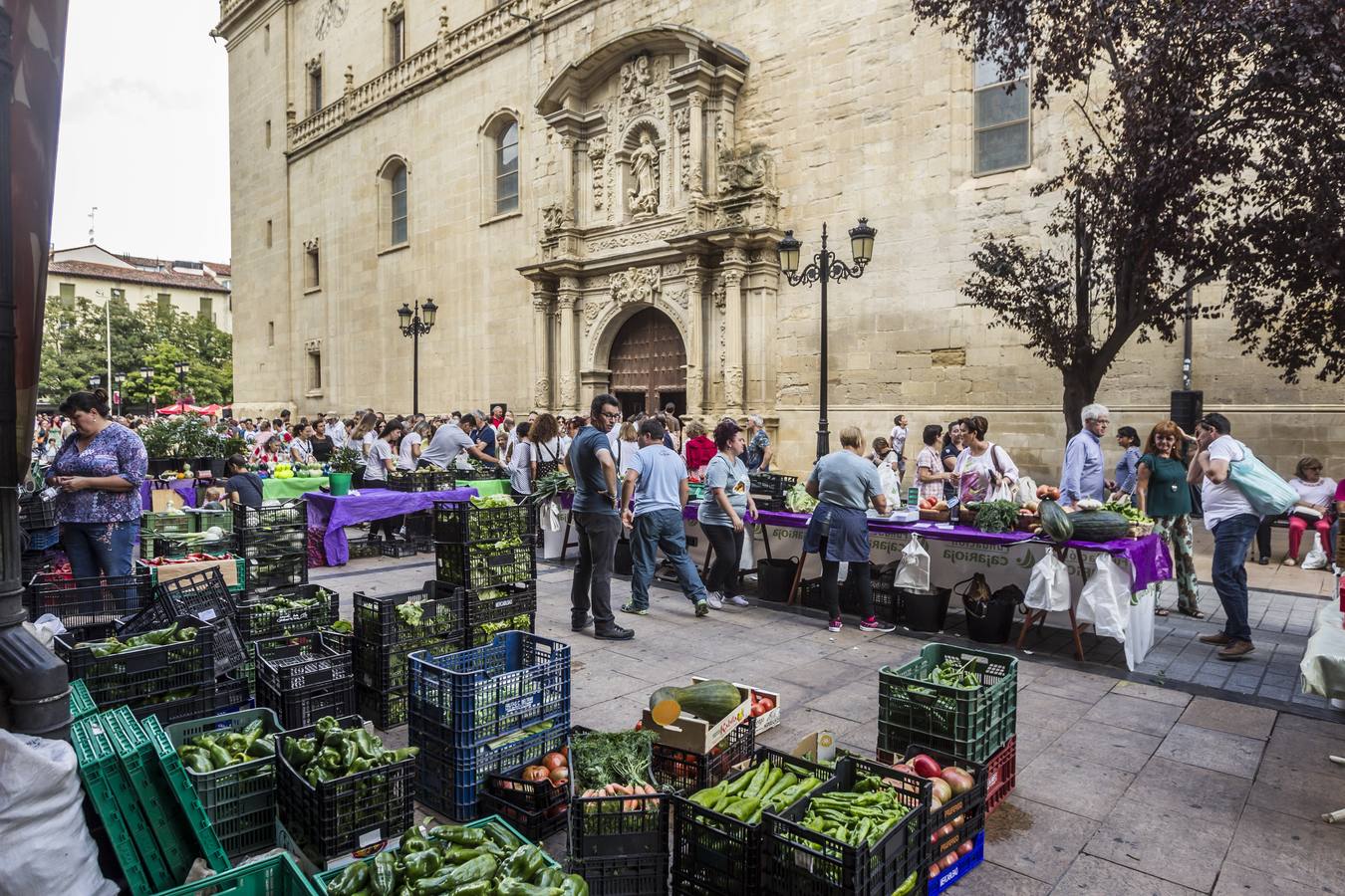 Javier Sampedro y Francisca Allo, ambos de Lardero, han ganado el 50 Concurso Agrícola de La Rioja en las categorías de frutas y hortalizas, respectivamente. Numeroso público ha disfrutado del sol radiante que ha lucido este domingo en Logroño y ha visitado los puestos instalados por 14 agricultores en la céntrica calle Portales, donde también se han podido adquirir los productos de la huerta riojana. Esta actividad, organizada por la Fundación Caja Rioja y Bankia, ha cumplido medio siglo de historia y supone una de las citas más tradicionales como prolegómeno a las fiestas de la vendimia.