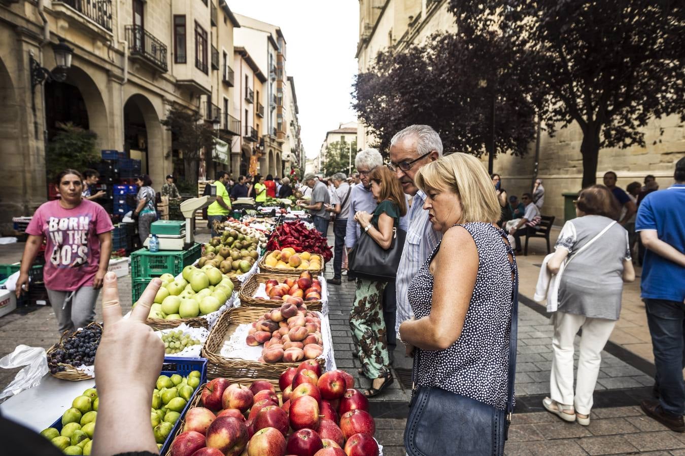 Javier Sampedro y Francisca Allo, ambos de Lardero, han ganado el 50 Concurso Agrícola de La Rioja en las categorías de frutas y hortalizas, respectivamente. Numeroso público ha disfrutado del sol radiante que ha lucido este domingo en Logroño y ha visitado los puestos instalados por 14 agricultores en la céntrica calle Portales, donde también se han podido adquirir los productos de la huerta riojana. Esta actividad, organizada por la Fundación Caja Rioja y Bankia, ha cumplido medio siglo de historia y supone una de las citas más tradicionales como prolegómeno a las fiestas de la vendimia.