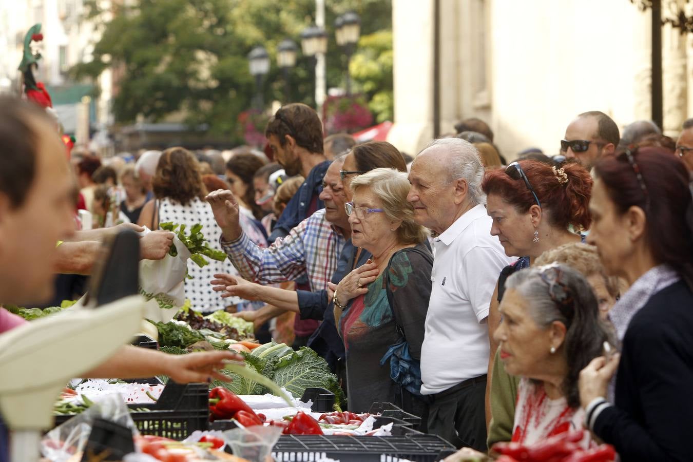 Javier Sampedro y Francisca Allo, ambos de Lardero, han ganado el 50 Concurso Agrícola de La Rioja en las categorías de frutas y hortalizas, respectivamente. Numeroso público ha disfrutado del sol radiante que ha lucido este domingo en Logroño y ha visitado los puestos instalados por 14 agricultores en la céntrica calle Portales, donde también se han podido adquirir los productos de la huerta riojana. Esta actividad, organizada por la Fundación Caja Rioja y Bankia, ha cumplido medio siglo de historia y supone una de las citas más tradicionales como prolegómeno a las fiestas de la vendimia.