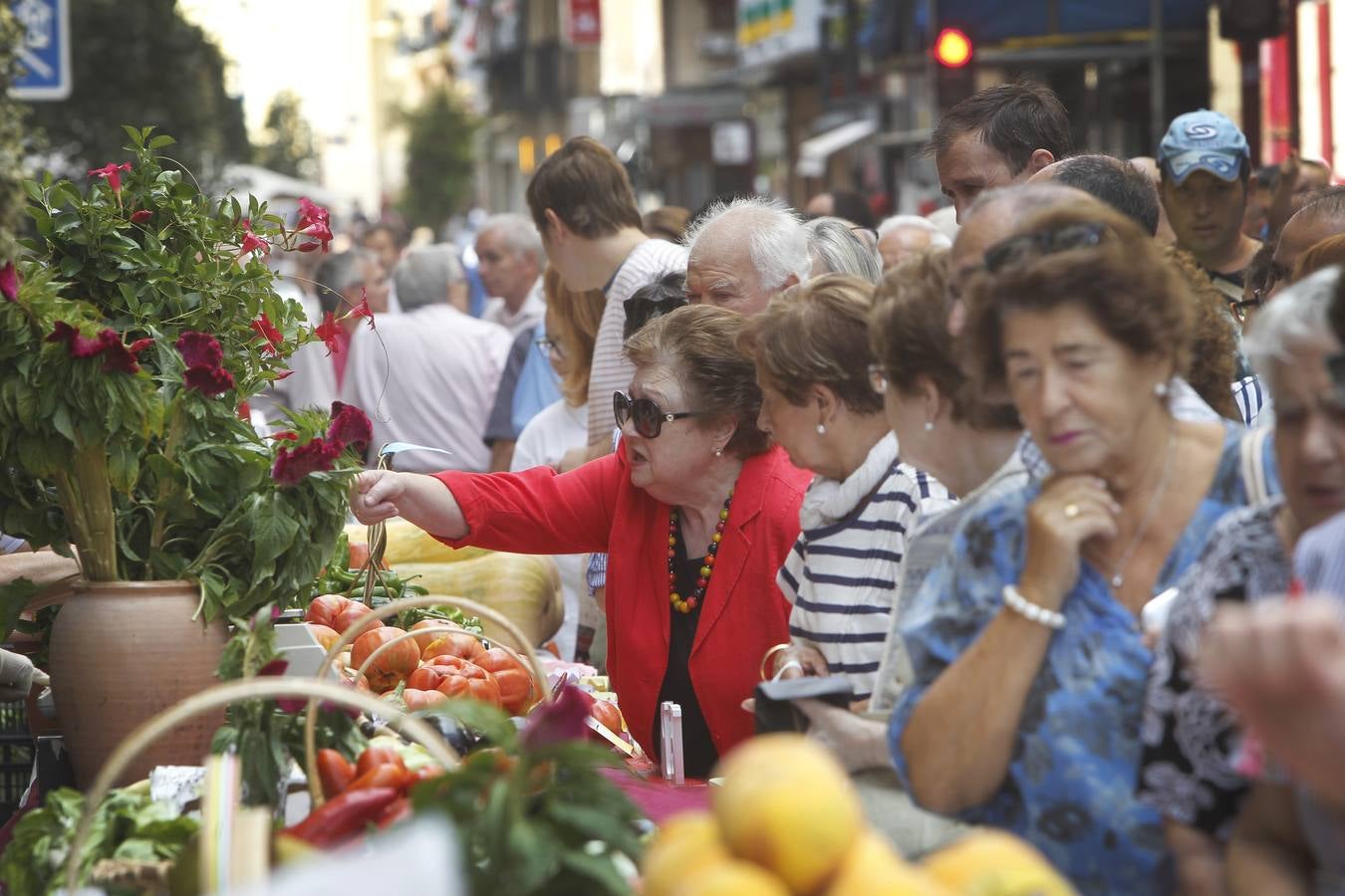 Javier Sampedro y Francisca Allo, ambos de Lardero, han ganado el 50 Concurso Agrícola de La Rioja en las categorías de frutas y hortalizas, respectivamente. Numeroso público ha disfrutado del sol radiante que ha lucido este domingo en Logroño y ha visitado los puestos instalados por 14 agricultores en la céntrica calle Portales, donde también se han podido adquirir los productos de la huerta riojana. Esta actividad, organizada por la Fundación Caja Rioja y Bankia, ha cumplido medio siglo de historia y supone una de las citas más tradicionales como prolegómeno a las fiestas de la vendimia.