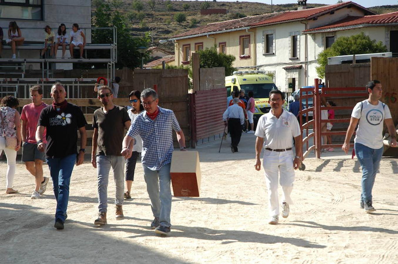 Imágenes correspondientes a la trashumancia urbana infantil del sábado en la localidad festiva de Igea.