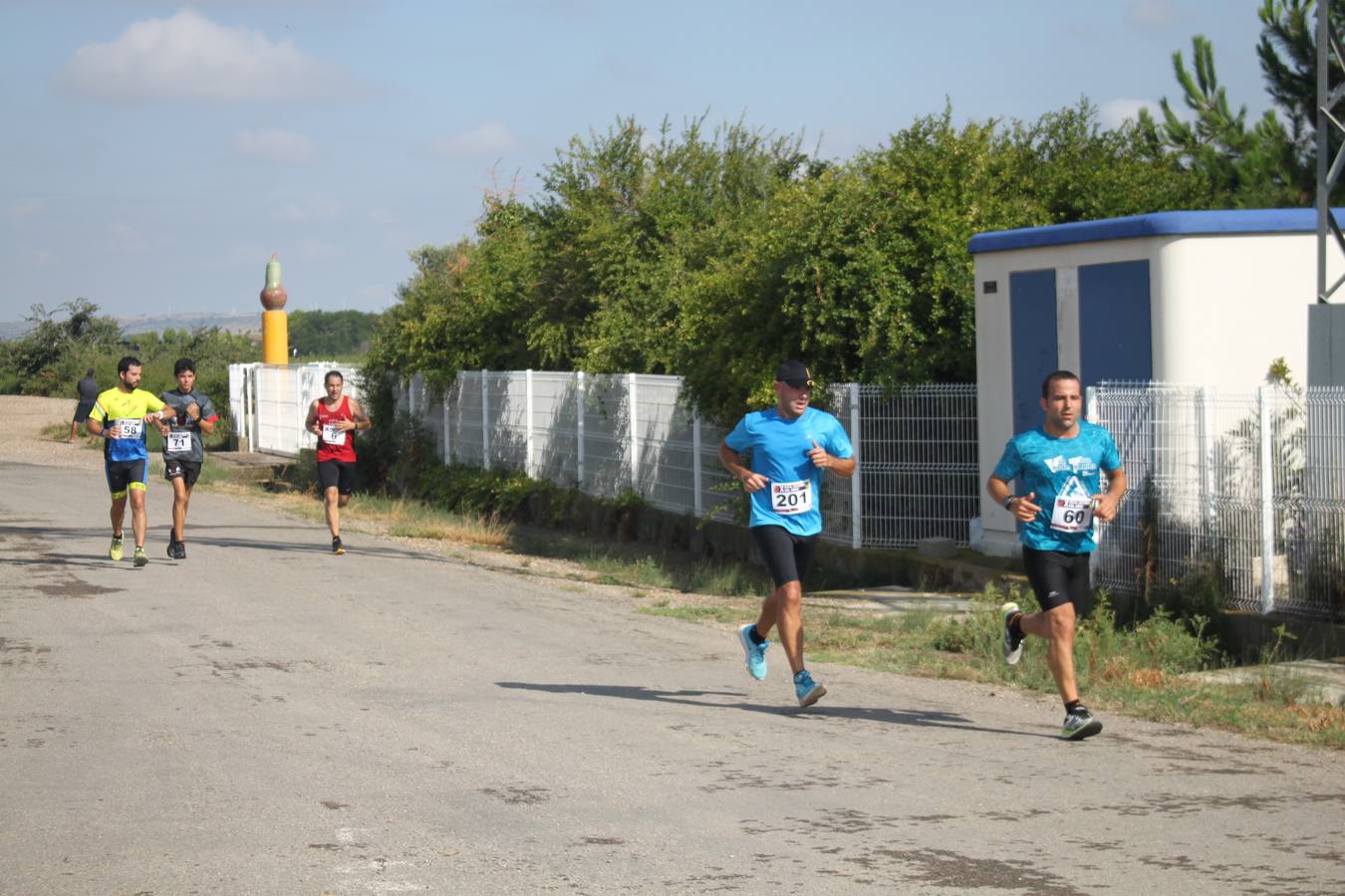 Fotos: La X Ruta Jacobea del Ebro reúne a 200 corredores