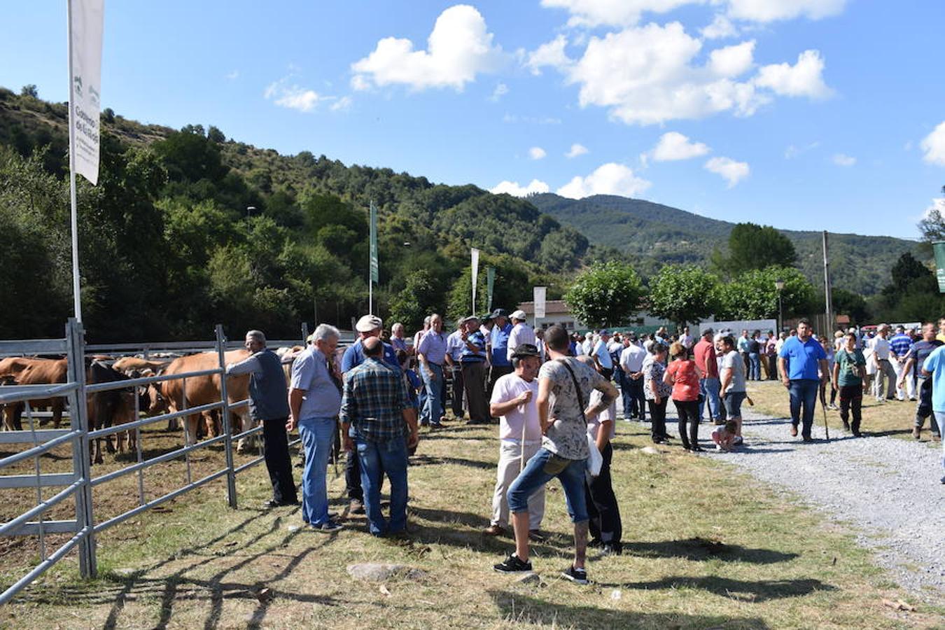 Gobierno de La Rioja y Ayuntamiento de Villoslada de Cameros, en colaboración con la Fundación Caja Rioja y Bankia, han puesto en marcha una nueva edición de la Feria Regional de Ganado que desde hace veintidós años, cada 11 de septiembre se desarrolla en la localidad serrana.