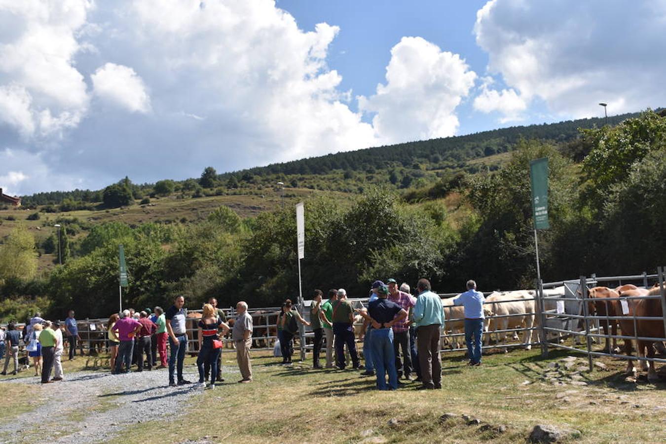 Gobierno de La Rioja y Ayuntamiento de Villoslada de Cameros, en colaboración con la Fundación Caja Rioja y Bankia, han puesto en marcha una nueva edición de la Feria Regional de Ganado que desde hace veintidós años, cada 11 de septiembre se desarrolla en la localidad serrana.