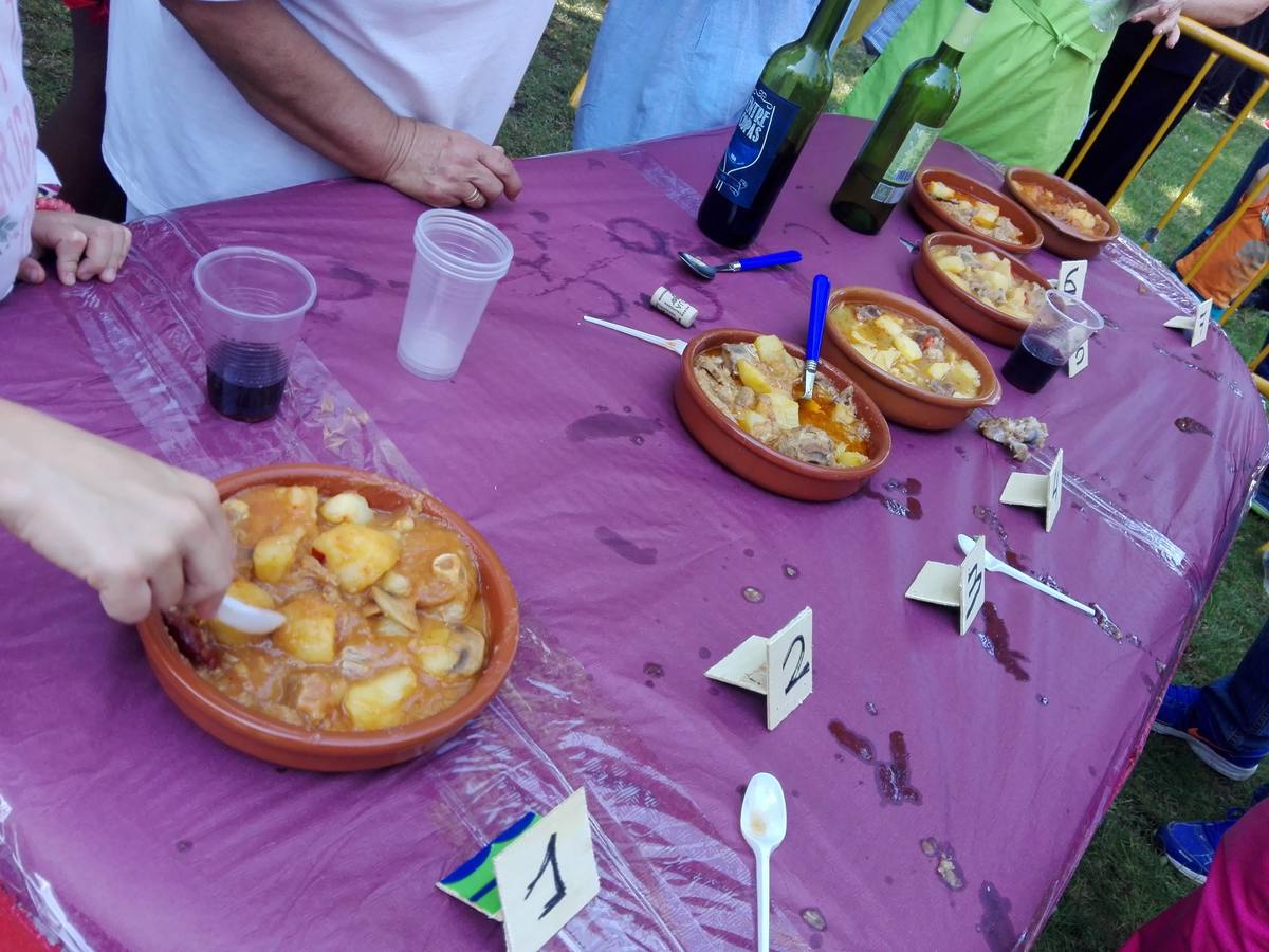 Cientos de jarreros culminan las fiestas de la vega con un recital de jolgorio