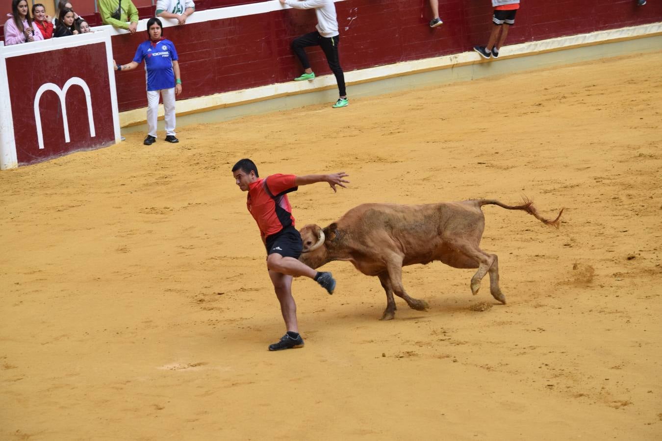 Miles de personas se dieron cita en la plaza de toros de Logroño.