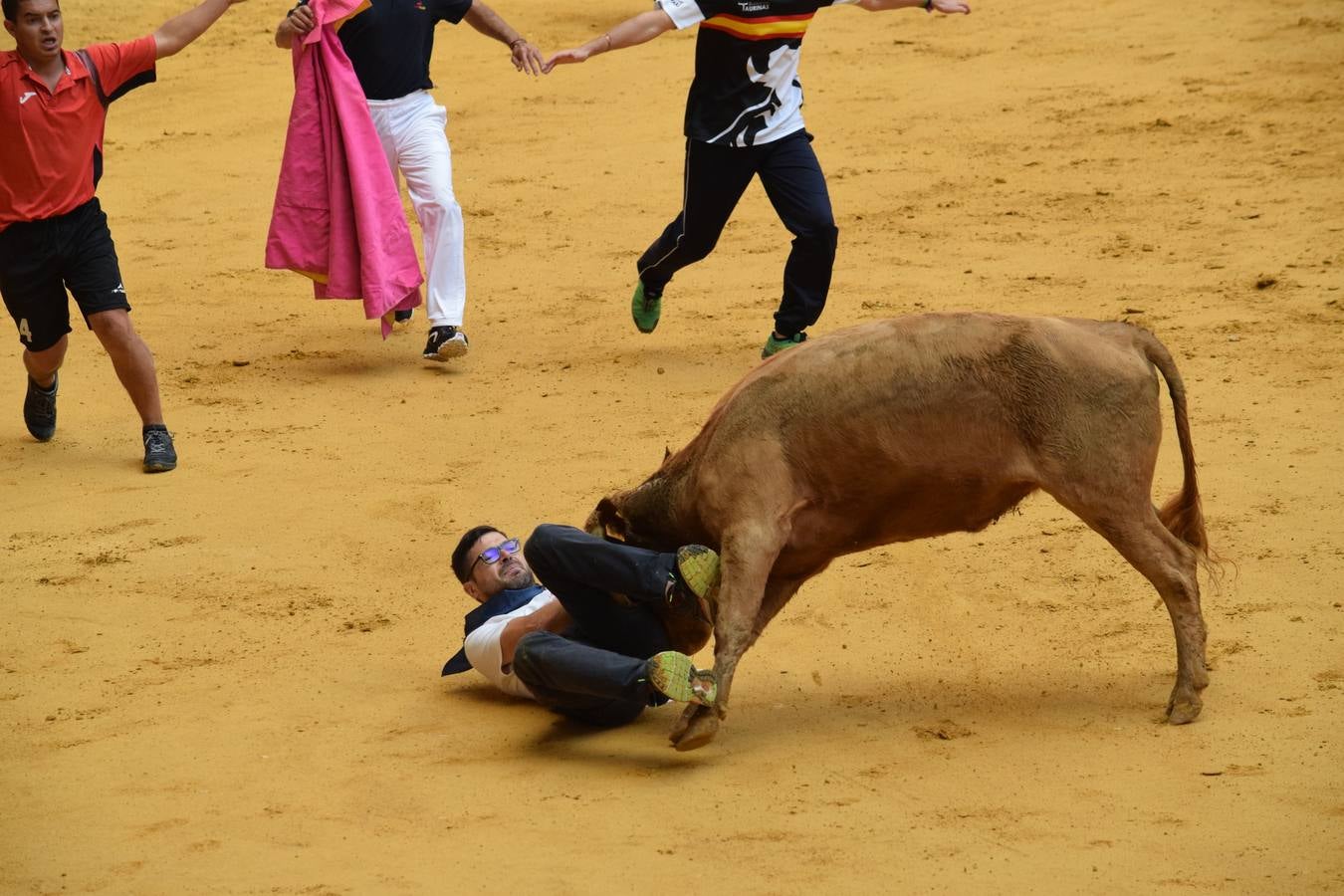 Miles de personas se dieron cita en la plaza de toros de Logroño.