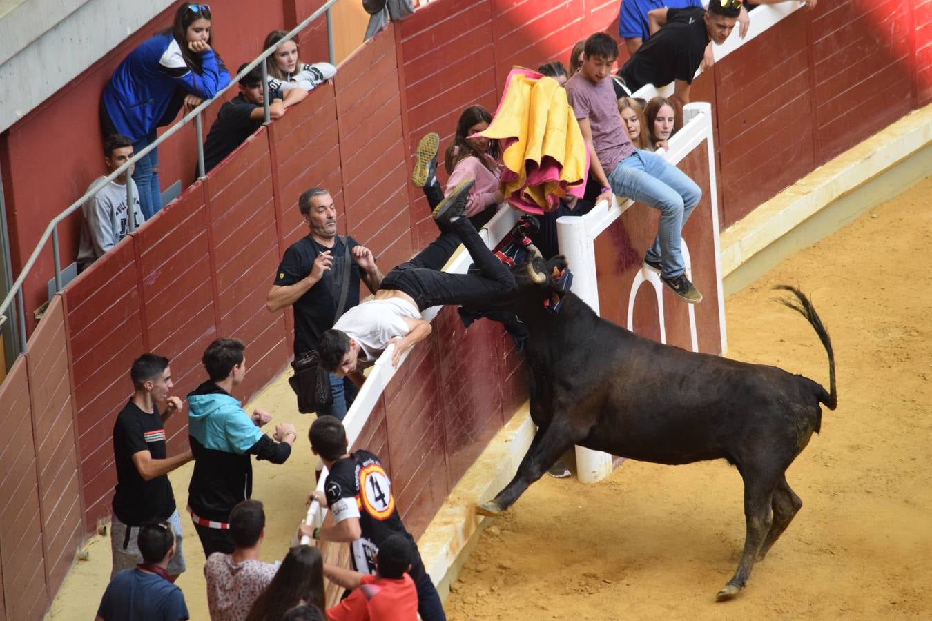 Miles de personas se dieron cita en la plaza de toros de Logroño.