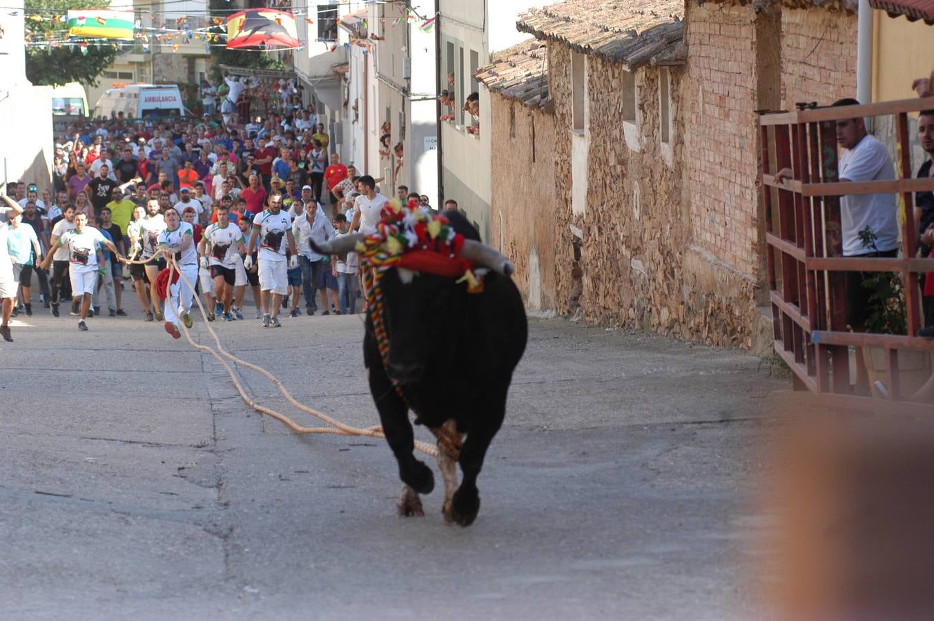 Fotos: Toros ensogados en Cabretón