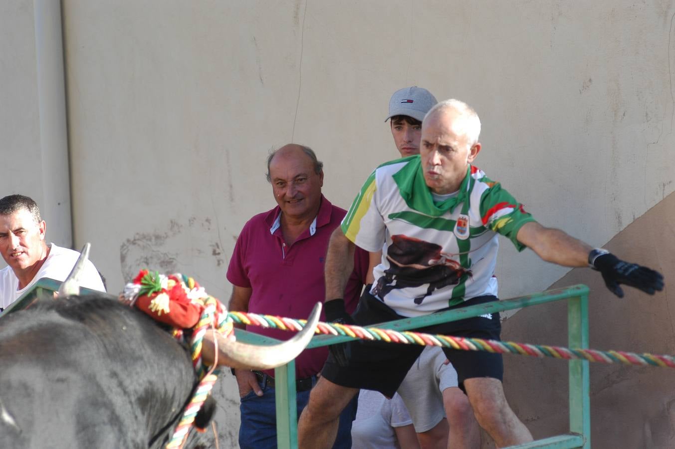 Fotos: Toros ensogados en Cabretón