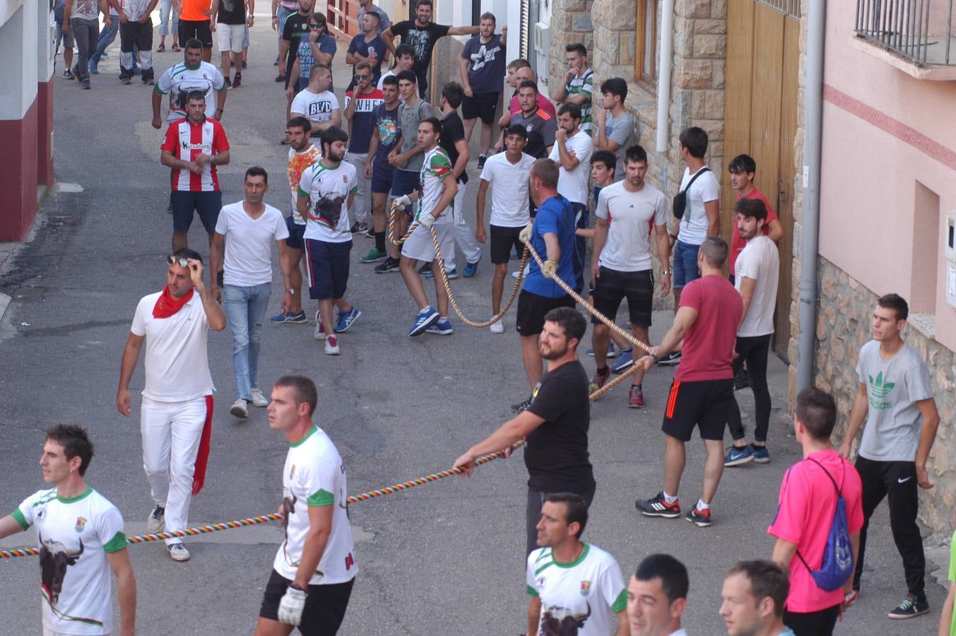 Fotos: Toros ensogados en Cabretón