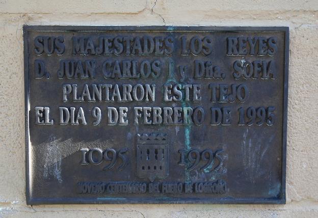 Aspecto actual del tejo y placa que recuerda la fecha de la plantación. :: juan marín