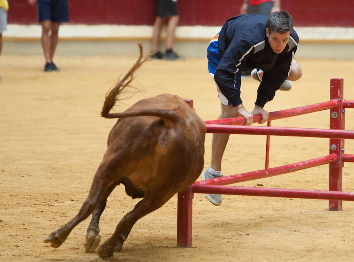 Divertido grand prix con vaquillas en La Ribera. Diversión para incondicionales desde primera hora del día.