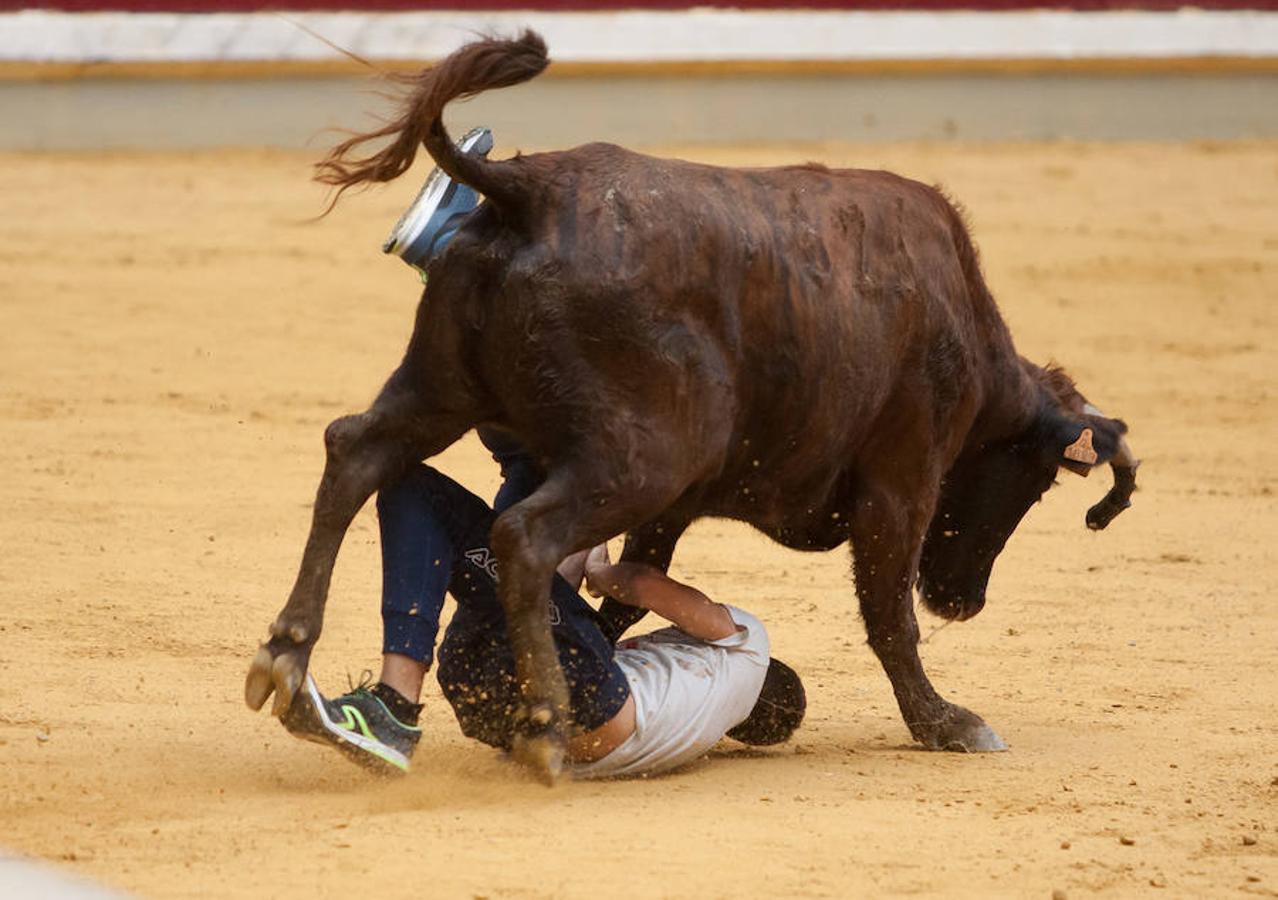 Divertido grand prix con vaquillas en La Ribera. Diversión para incondicionales desde primera hora del día.