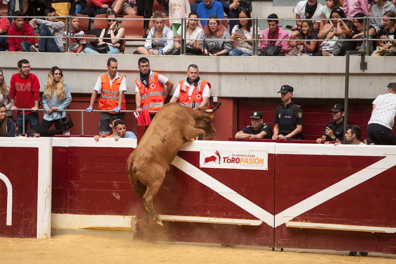 Divertido grand prix con vaquillas en La Ribera. Diversión para incondicionales desde primera hora del día.