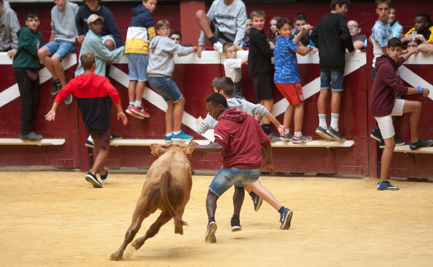 Divertido grand prix con vaquillas en La Ribera. Diversión para incondicionales desde primera hora del día.