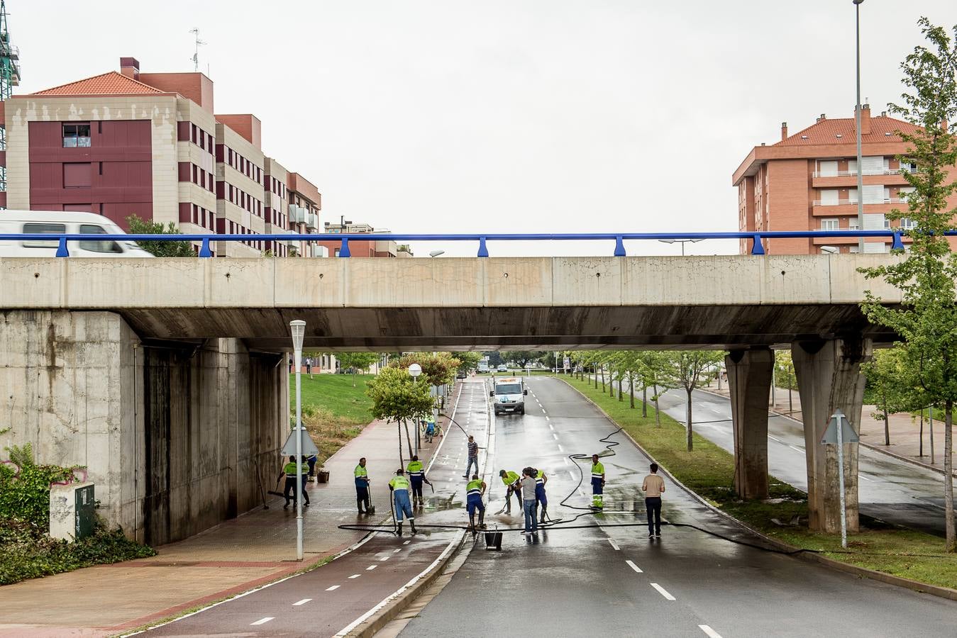 Fotos: Barro, ramas rotas y árboles caídos, las consecuencias de la tormenta