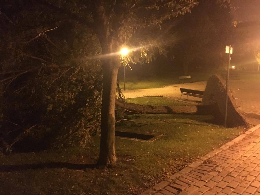 Fotos: Barro, ramas rotas y árboles caídos, las consecuencias de la tormenta