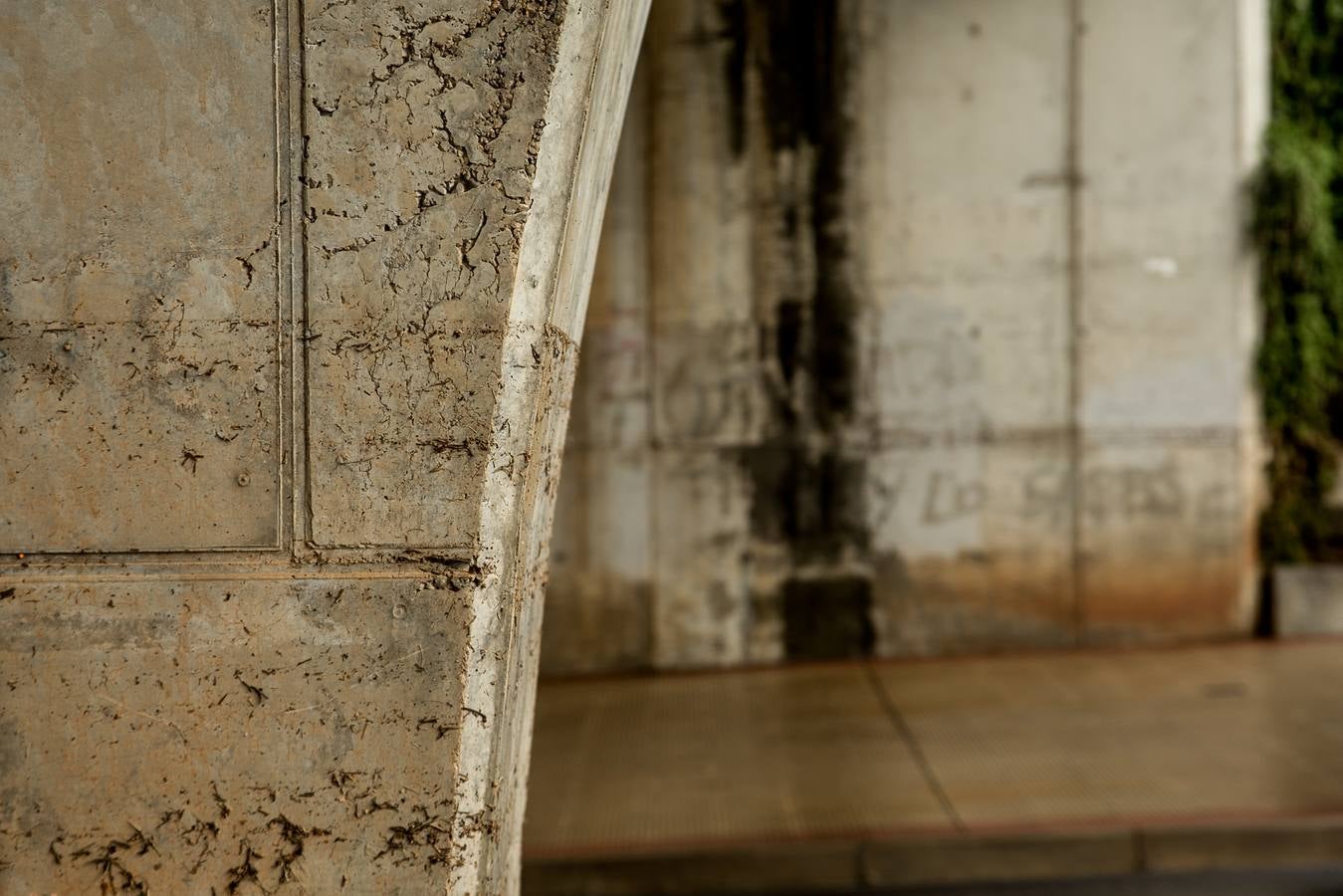 Fotos: Barro, ramas rotas y árboles caídos, las consecuencias de la tormenta