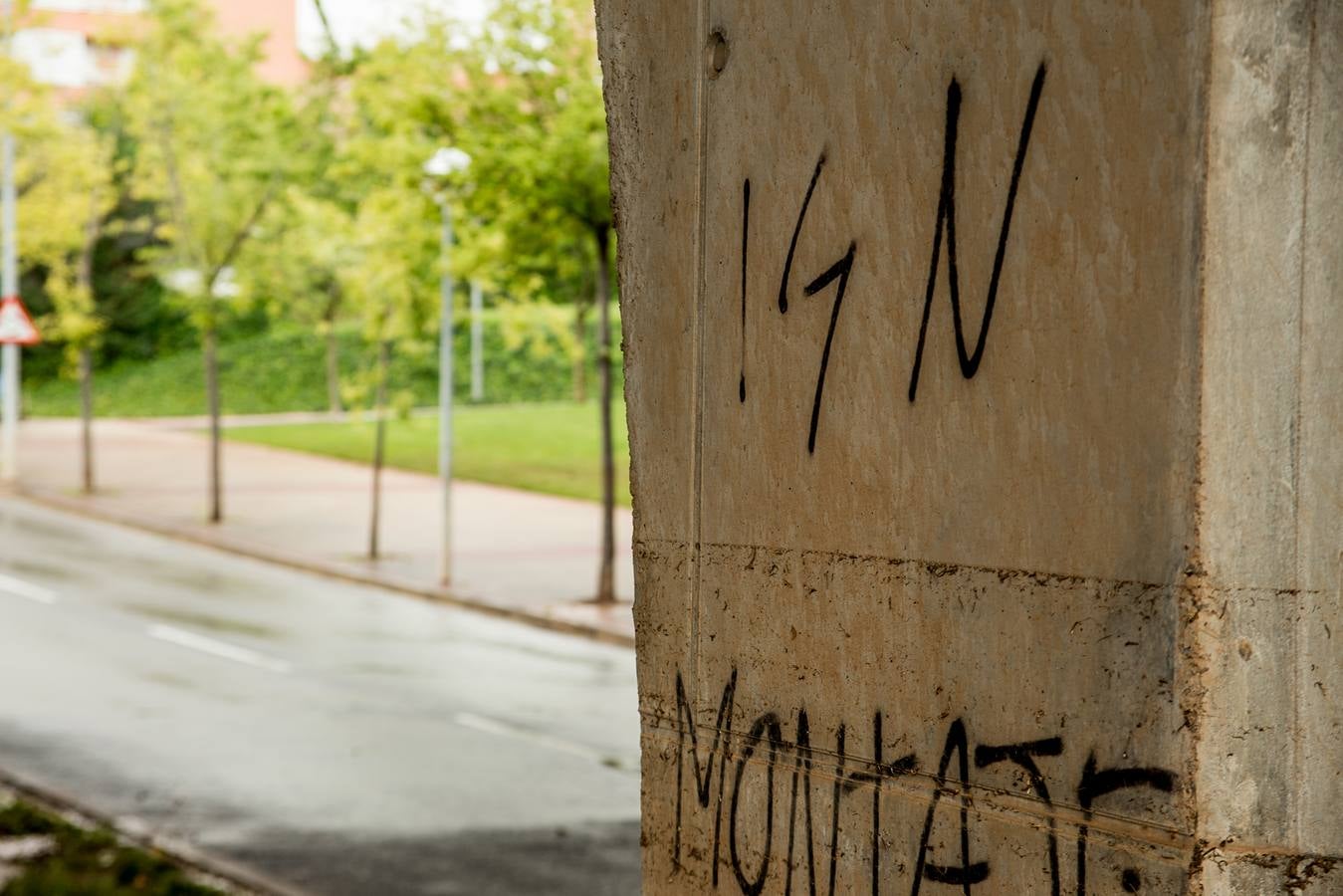 Fotos: Barro, ramas rotas y árboles caídos, las consecuencias de la tormenta