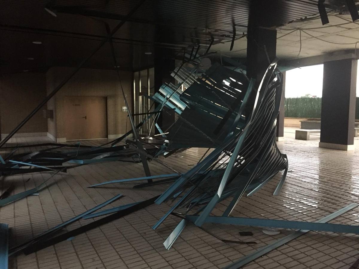 Fotos: Barro, ramas rotas y árboles caídos, las consecuencias de la tormenta