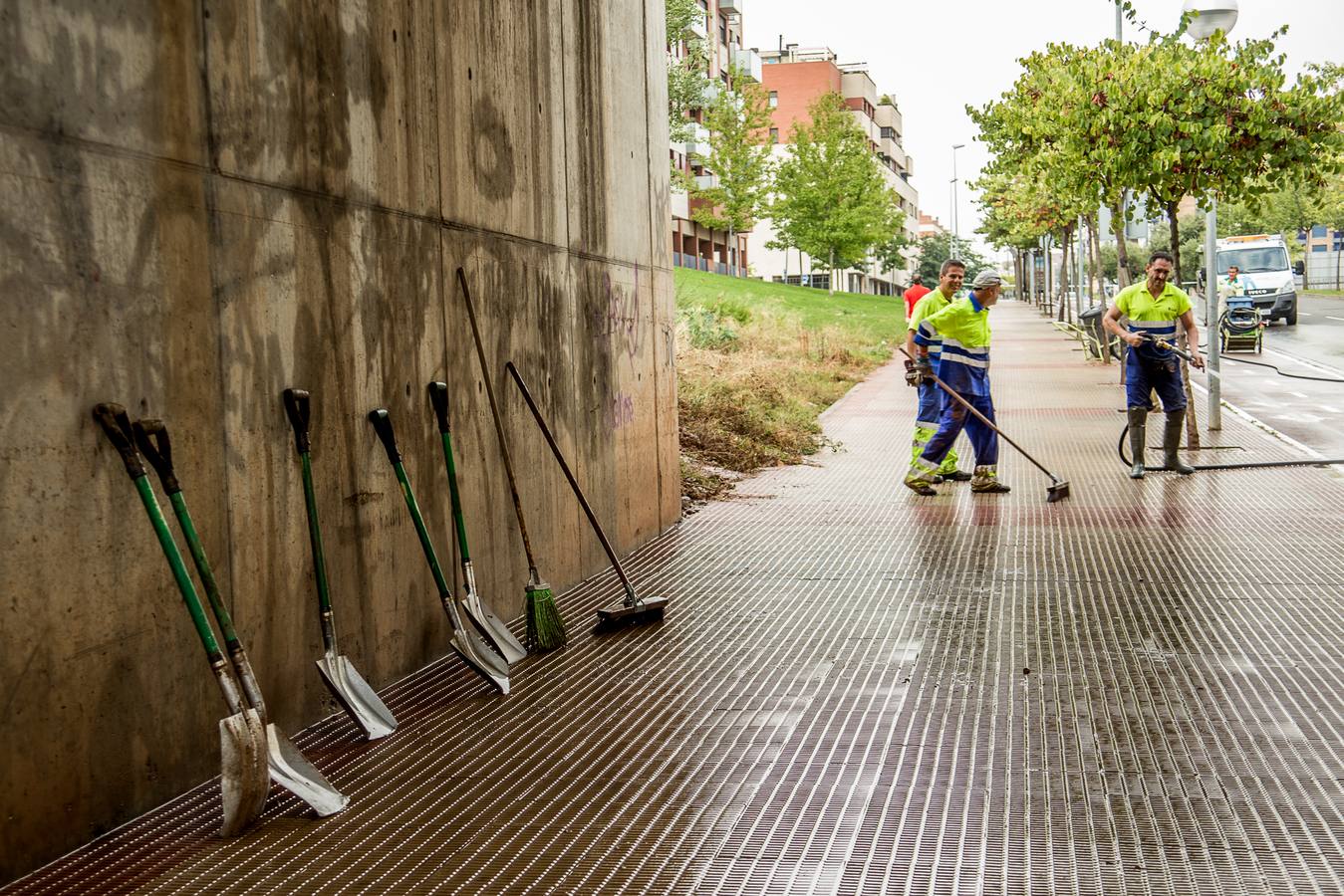 Fotos: Barro, ramas rotas y árboles caídos, las consecuencias de la tormenta