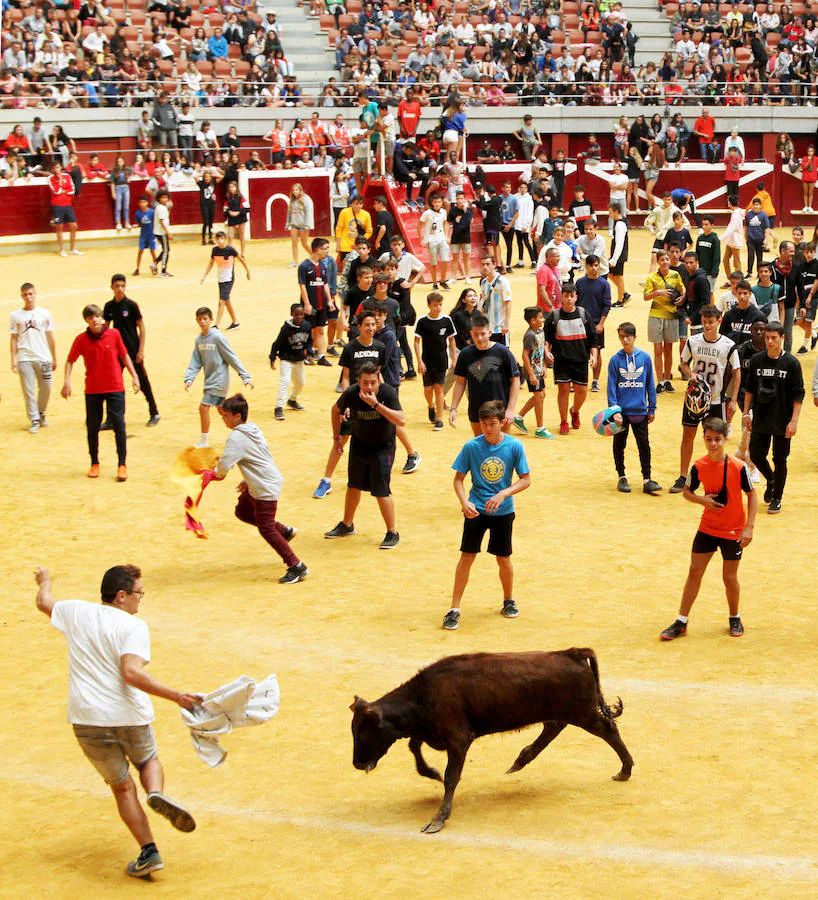 La invitación no dejaba margen para la duda: «Exhibición de bravura con obstáculos con algunas de las vacas y toros más femosos de España», con reses de la ganadrería de José Arriazu de Ablitas.