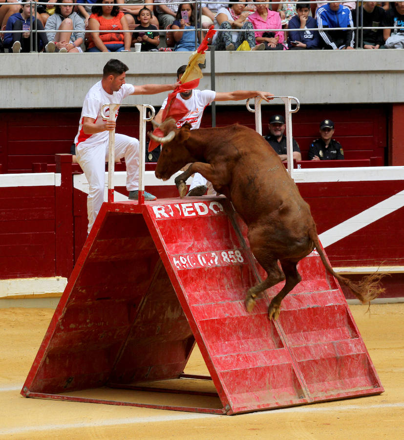 La invitación no dejaba margen para la duda: «Exhibición de bravura con obstáculos con algunas de las vacas y toros más femosos de España», con reses de la ganadrería de José Arriazu de Ablitas.