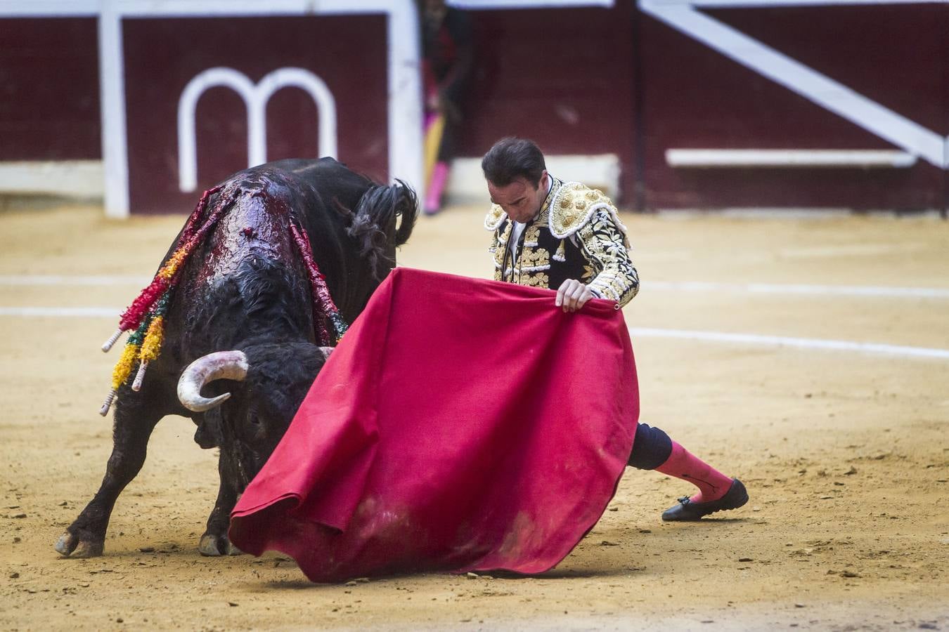 Una oreja por cada uno de los diestros pasearon hoy Enrique Ponce, José María Manzanares y Andrés Roca Rey en la tercera de la feria de San Mateo de Logroño, una corrida que fue irrefrenablemente a menos por culpa de la falta de casta y pocas fuerzas de los toros de Juan Pedro Domecq.