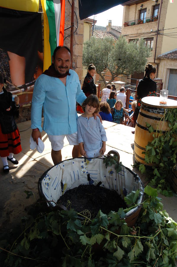 Imágenes del día grande de las fiestas de Rincón de Olivedo. con motivo de sus fiestas de Acción de Gracias y Virgen de la Antigua con procesión, pisado de uva, ofrenda del mosto y misa.