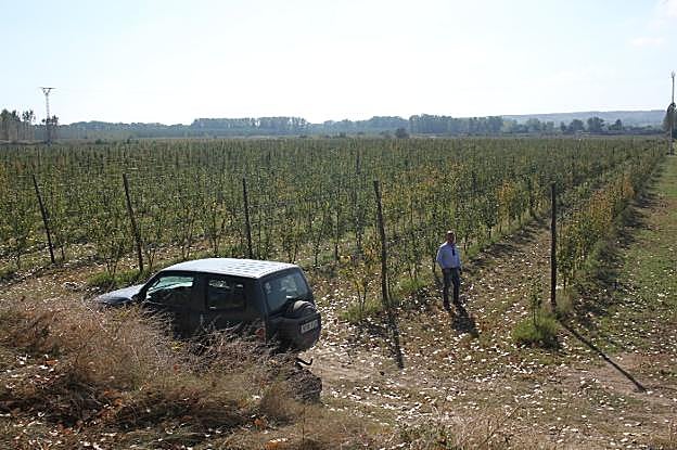 El alfareño Nacho Bea, en la finca de 13 hectáreas que plantó hace dos años en el soto del Estajao y que dedicará a peral ecológico. 