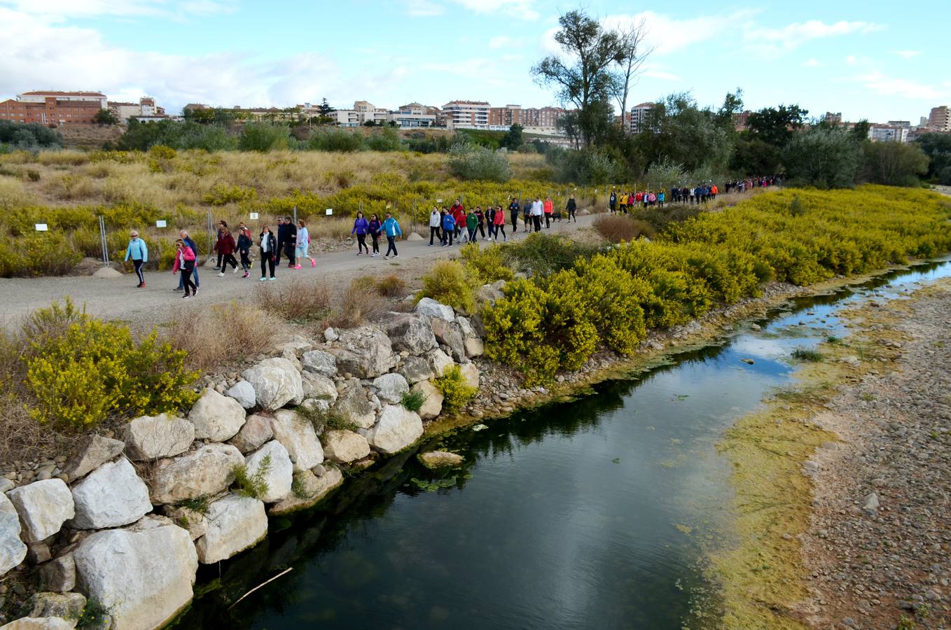 350 personas han participado esta mañana en este paseo.