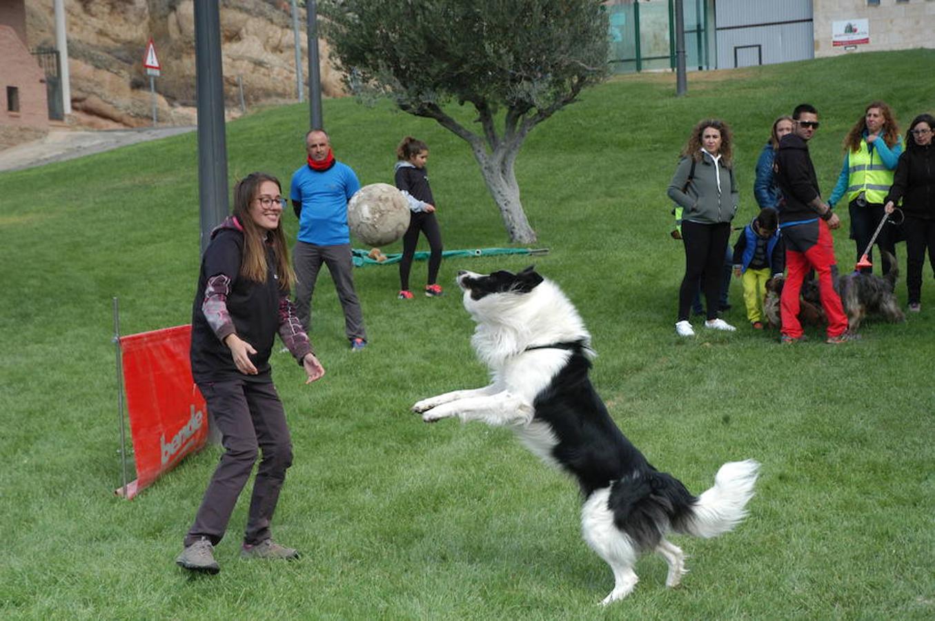 En Autol presumieron de mascota los orgullosos propietarios en una quedada divertida para todos.