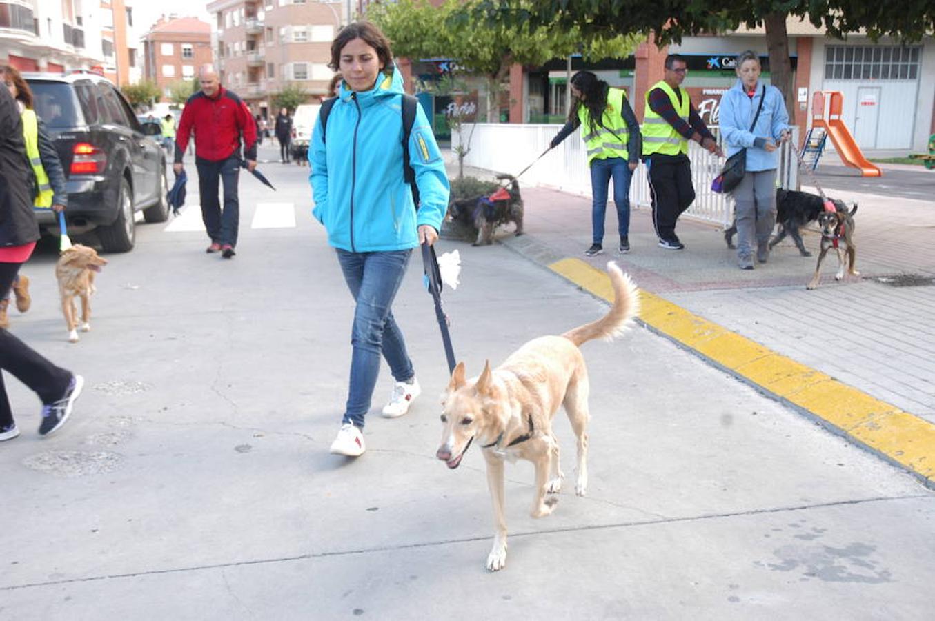 En Autol presumieron de mascota los orgullosos propietarios en una quedada divertida para todos.