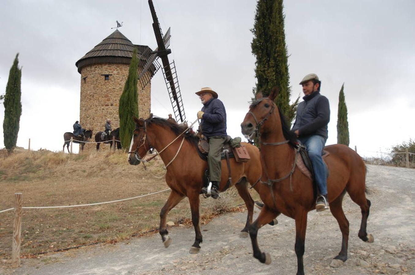 Imágenes correspondientes a la VII ruta ecuestre de Ocón celebrada el pasado domingo.