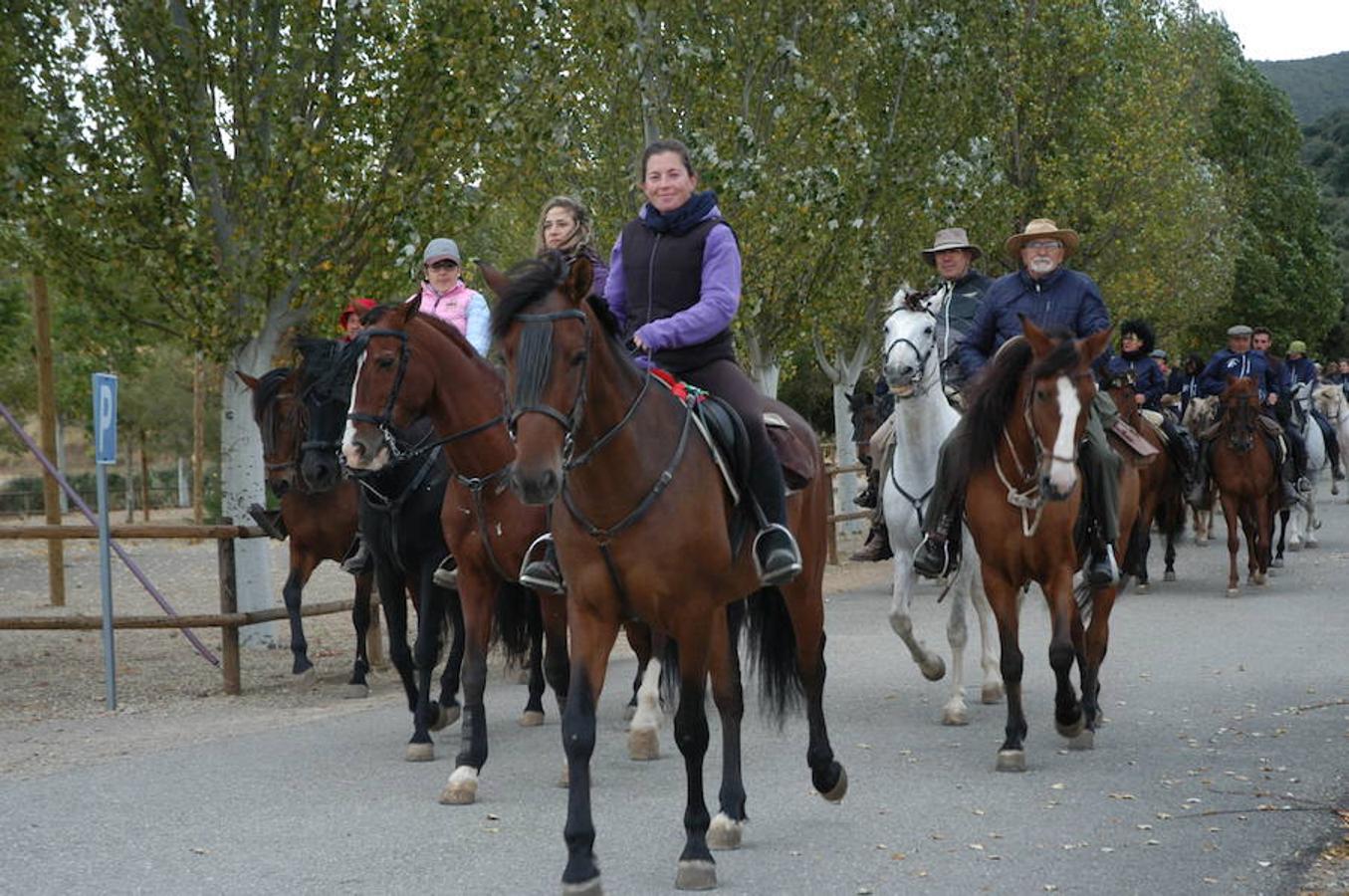 Imágenes correspondientes a la VII ruta ecuestre de Ocón celebrada el pasado domingo.