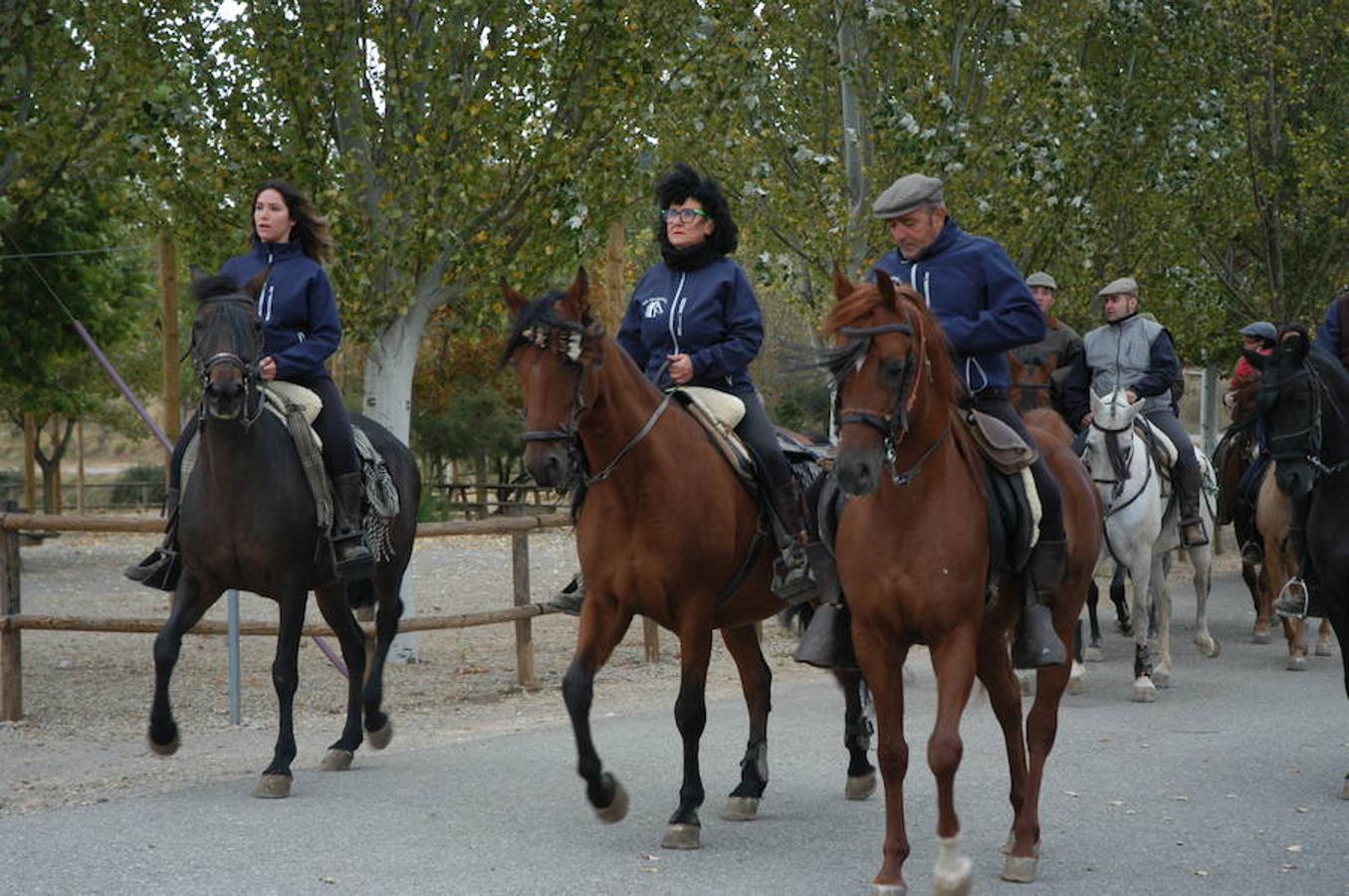 Imágenes correspondientes a la VII ruta ecuestre de Ocón celebrada el pasado domingo.