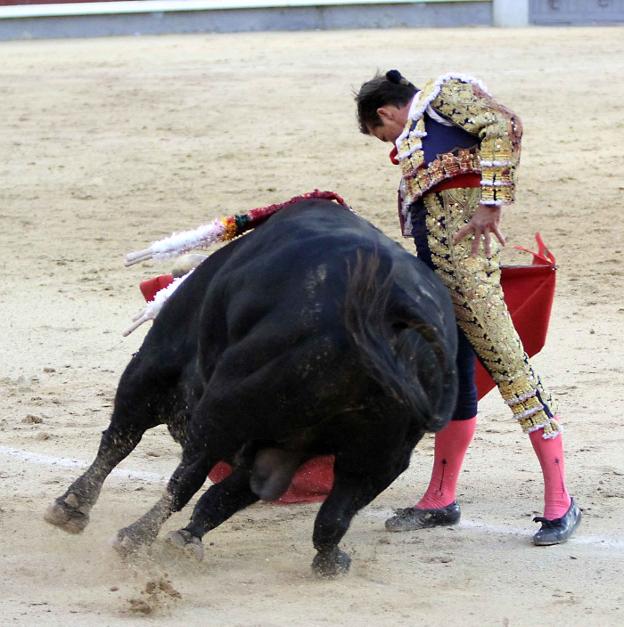 Urdiales, con 'Hurón', el toro de las dos orejas de Madrid.