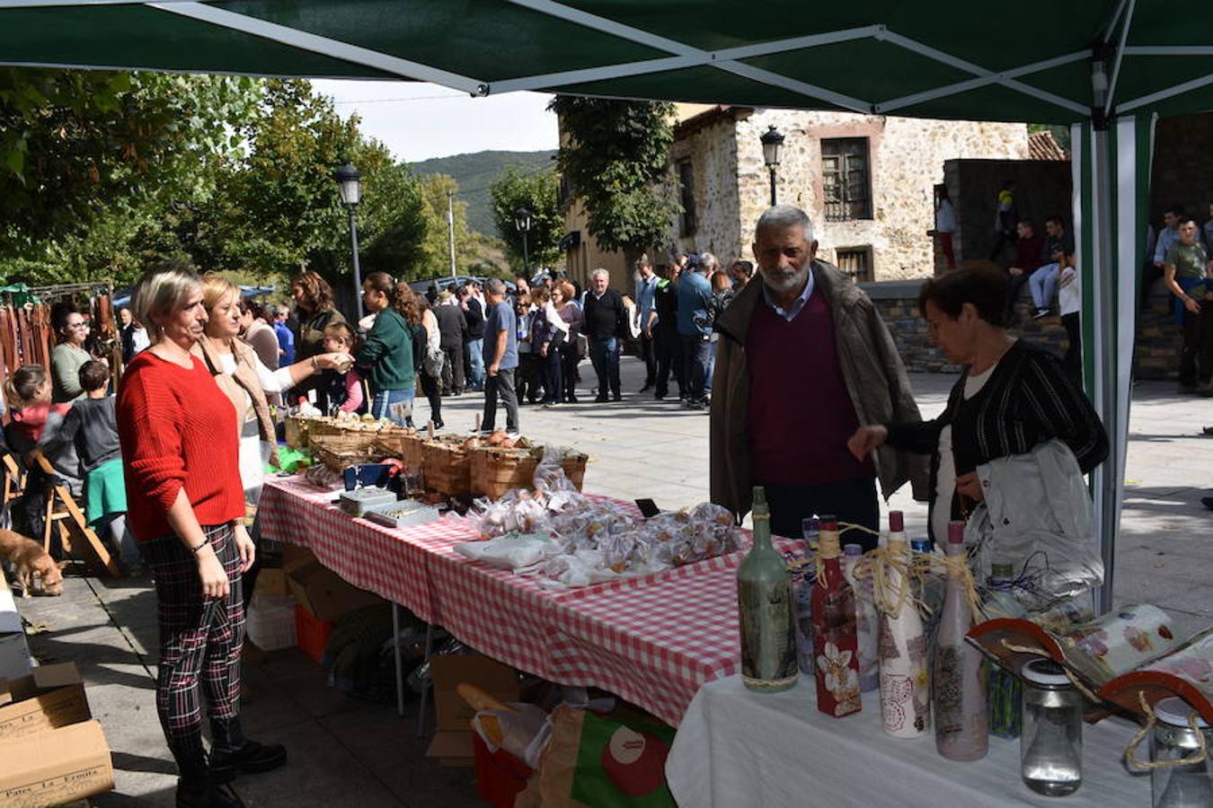 La Feria de Ganado Selecto del Camero Nuevo en Villoslada expone para su venta 30 cabezas de ganado bovino, entre sementales y novillas, procedentes de La Rioja, Castilla y León, País Vasco, Navarra y Aragón. La cita, organizada por la Asociación Ganadera del Alto Iregua en colaboración con la Consejería de Agricultura y Ganadería y el Ayuntamiento villosladense, tiene lugar en el frontón y en el paseo del Espolón.