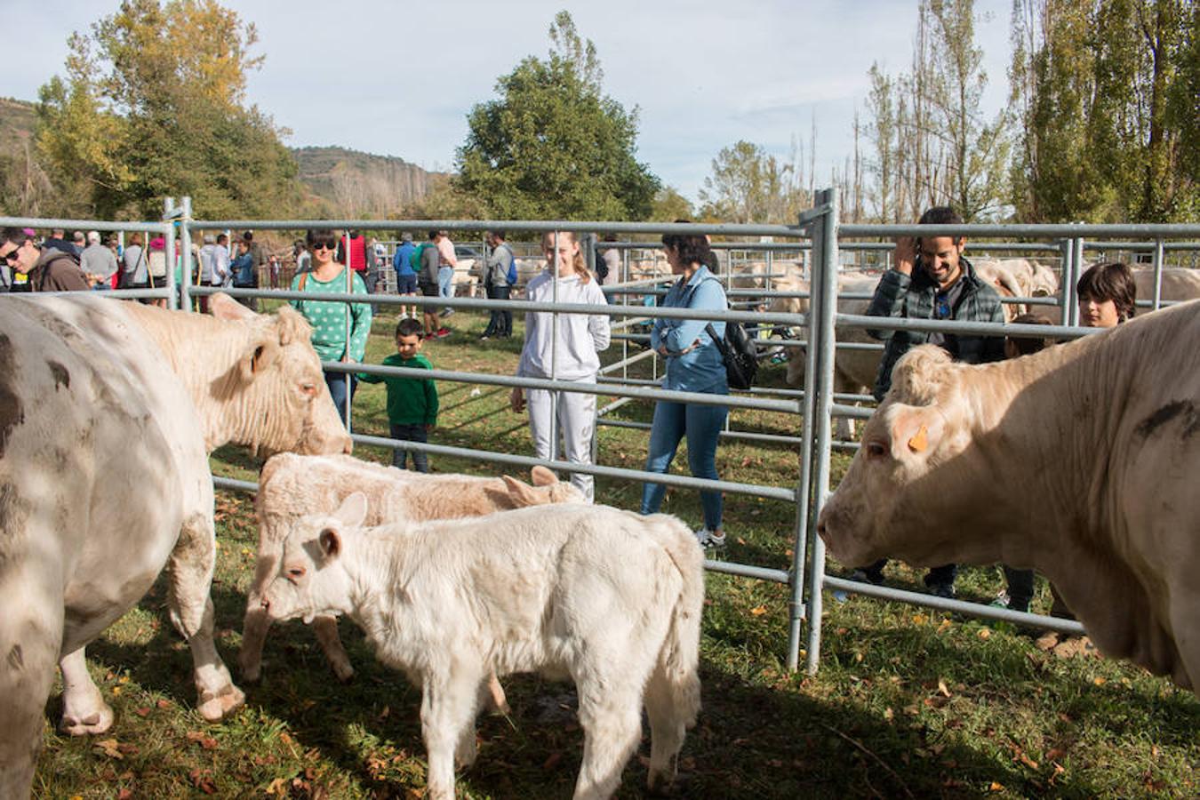Ojacastro celebra hoy la segunda y última jornada de su feria de ganado y de artesanía agroalimentaria, que, 16 años después de echar a andar, sigue evidenciando su encaje y tirón dentro del 'puente' festivo del Pilar. 