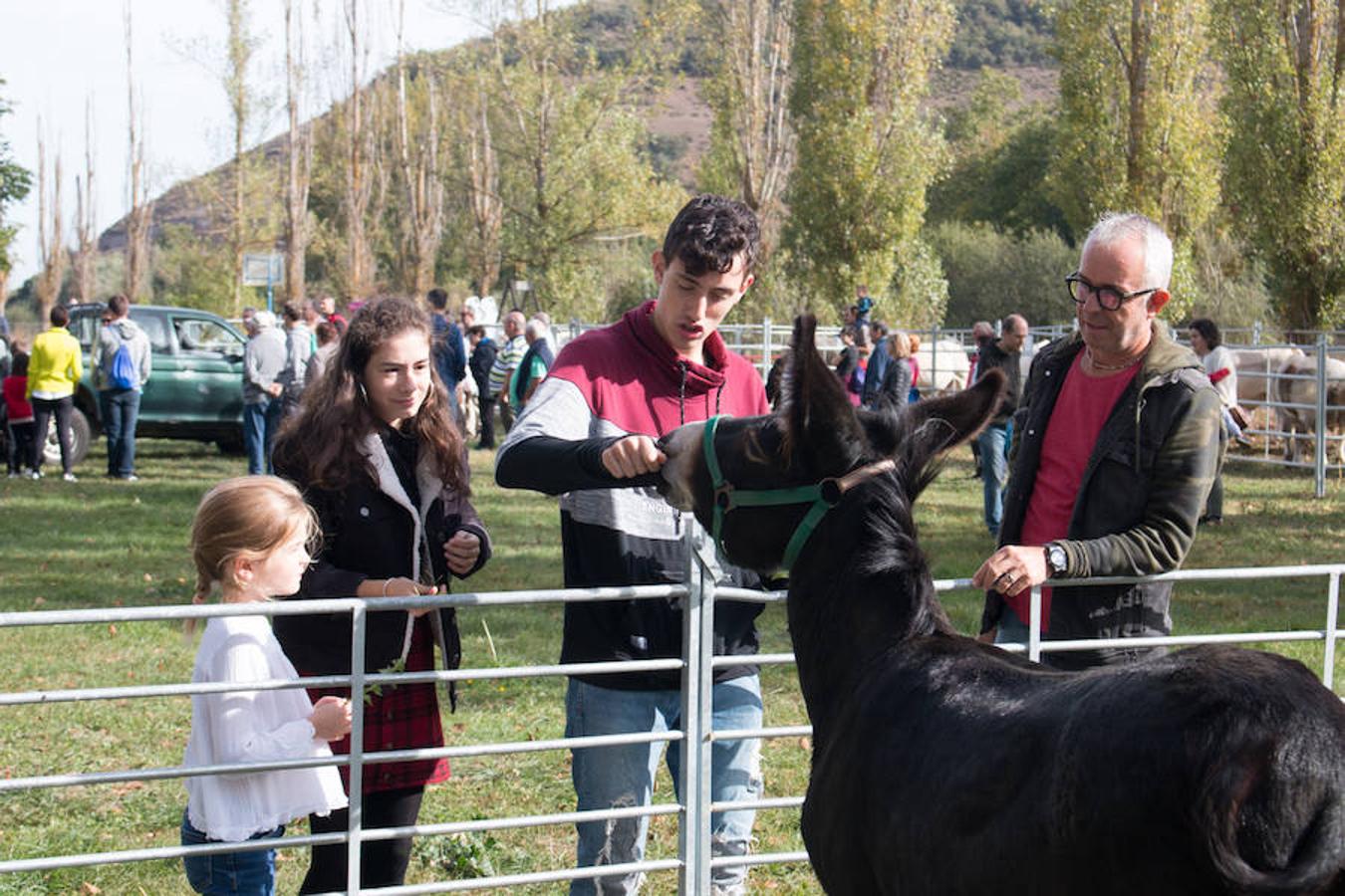 Ojacastro celebra hoy la segunda y última jornada de su feria de ganado y de artesanía agroalimentaria, que, 16 años después de echar a andar, sigue evidenciando su encaje y tirón dentro del 'puente' festivo del Pilar. 