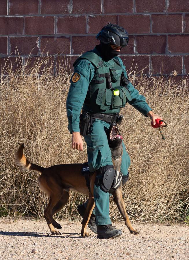 El Grupo de Acción Rápida (GAR) de la Guardia Civil y la Gendarmería Francesa están desarrollano unas jornadas prácticas en Logroño para implementar un nuevo sistema de detección de explosivos con perros en grandes concentraciones de personas, como eventos deportivos o musicales.