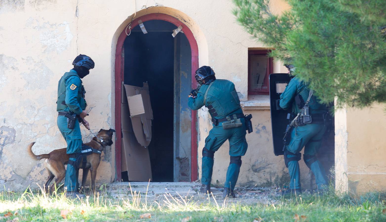 El Grupo de Acción Rápida (GAR) de la Guardia Civil y la Gendarmería Francesa están desarrollano unas jornadas prácticas en Logroño para implementar un nuevo sistema de detección de explosivos con perros en grandes concentraciones de personas, como eventos deportivos o musicales.