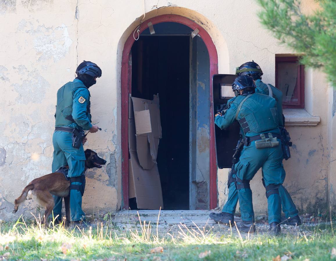 El Grupo de Acción Rápida (GAR) de la Guardia Civil y la Gendarmería Francesa están desarrollano unas jornadas prácticas en Logroño para implementar un nuevo sistema de detección de explosivos con perros en grandes concentraciones de personas, como eventos deportivos o musicales.