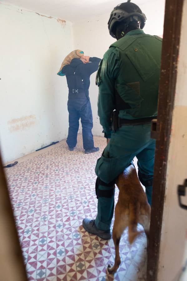 El Grupo de Acción Rápida (GAR) de la Guardia Civil y la Gendarmería Francesa están desarrollano unas jornadas prácticas en Logroño para implementar un nuevo sistema de detección de explosivos con perros en grandes concentraciones de personas, como eventos deportivos o musicales.